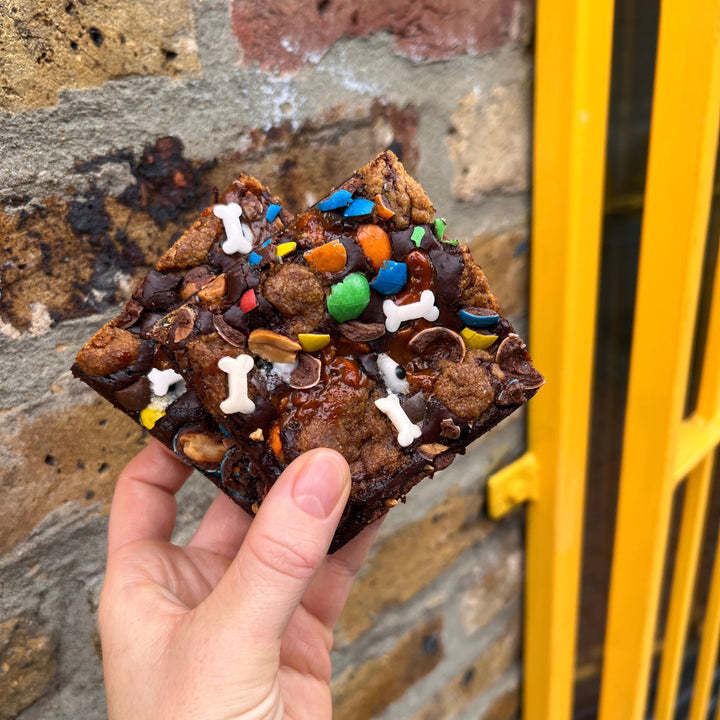 Trick or Treat Brownies - Box of 10